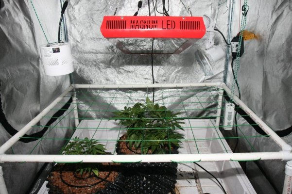 Don't EVER tell me LEDs are bunk!