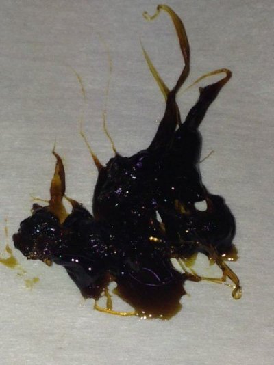 concentrate porn thread
