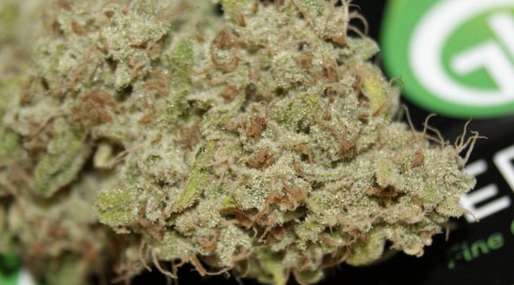 Green Dot Labs Loompa Farms Grows