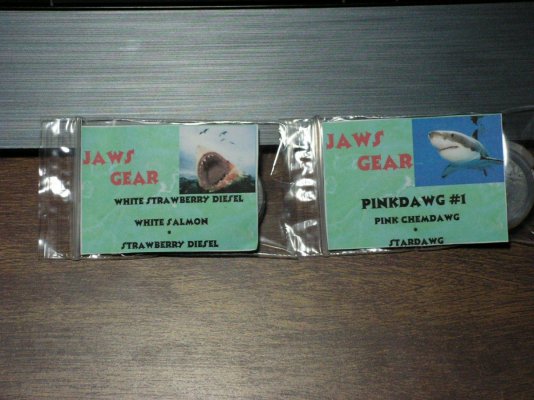 The lab of jaws!!