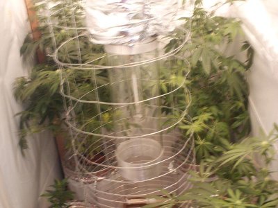 6-bucket-dwc-vertical-2.jpg