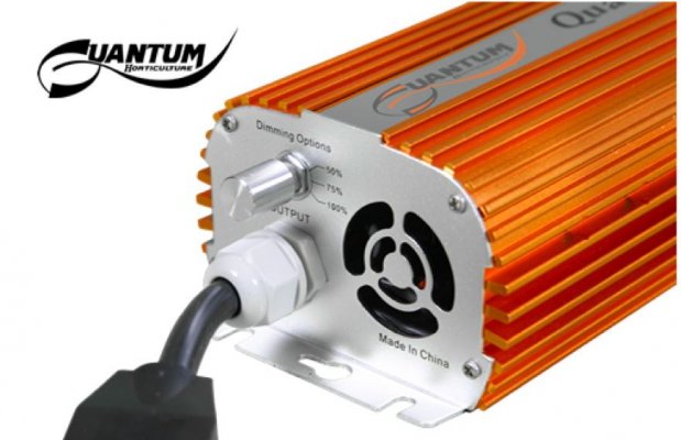 Best 600 watt ballast hotsell
