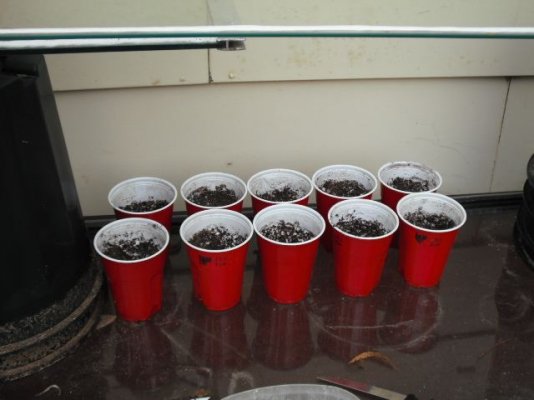 southernstoners-auto-dabbling-3.jpg