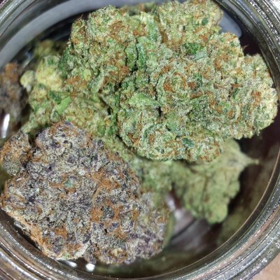 A few shots of my rooms growing in Beds with some new strains WIFI X SOUR D and...