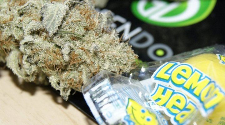 Green Dot Labs Loompa Farms Grows