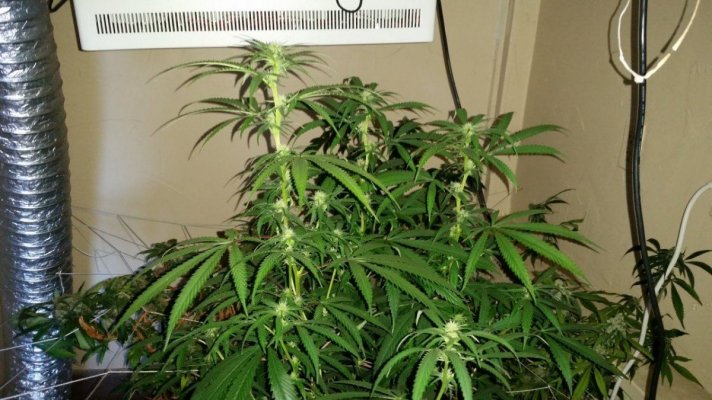 Peeking into BakedReality's Garden!