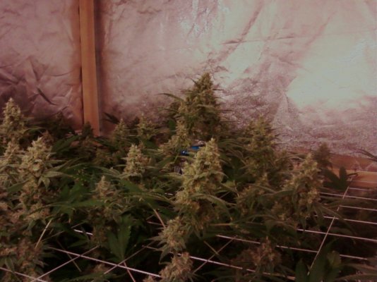 9-12-09 034.jpg