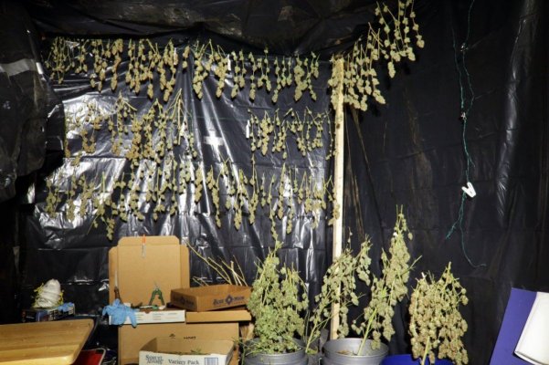 DIY LED with COBs - small medium and large grows