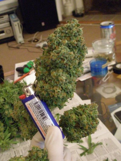 What`s up on God`s Gift?