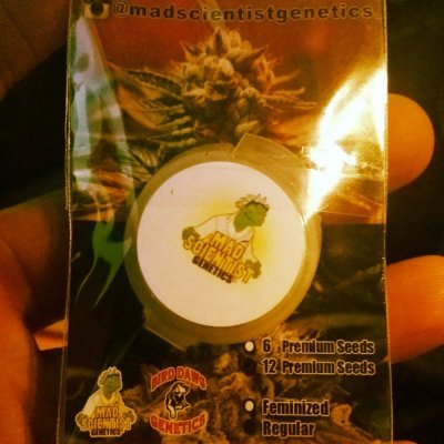 6000 watt coco grow