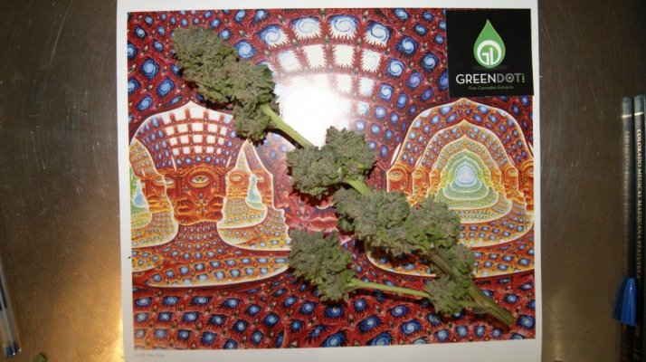 DMT - Sour Bubble Bx1 Ix3