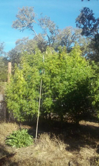 Harvest time again!