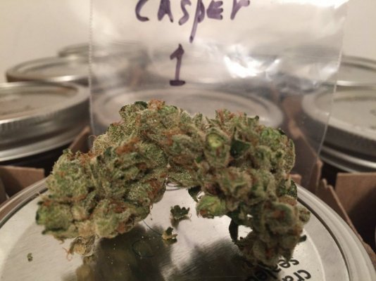 Casper OG-Archive Seed Bank