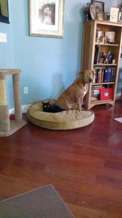 IMAG0707.jpg