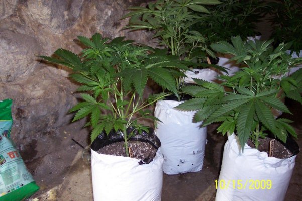 100_2584.jpg