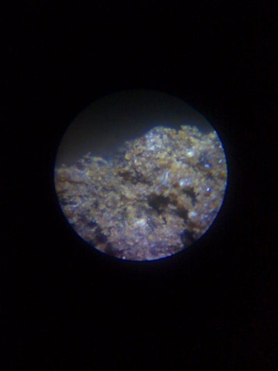 25102009671.jpg
