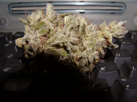 G2 afghan dry.3.JPG