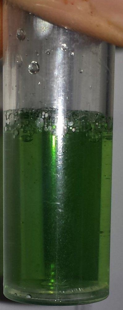 20141130_1109371.jpg