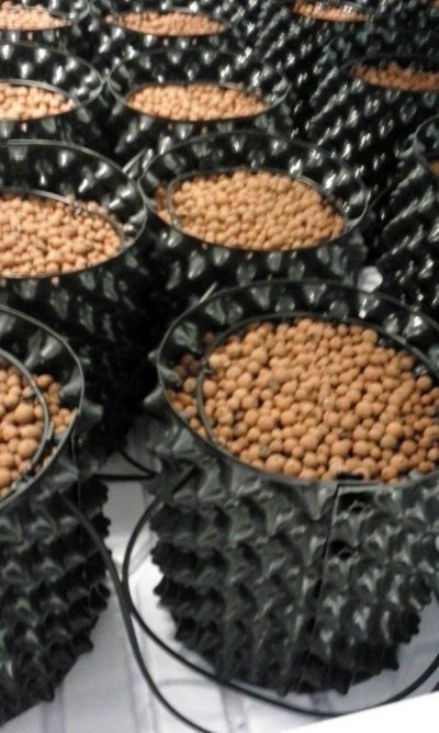 hydroponics-table-1.jpg