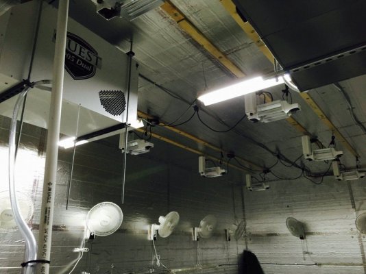 suggestions on a good dehumidifier