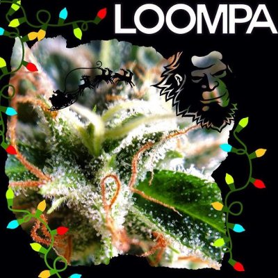 In an OOM PAH PAH Loompa's garden in the shade