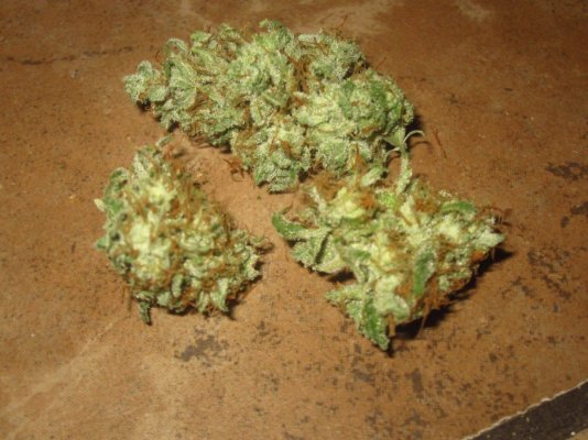 Michigan... Strains, pics, and whatever!