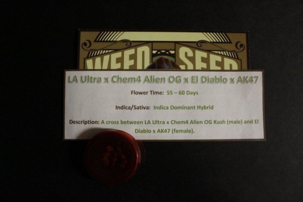 La Ultra X Chem4 Alien Og X El Diablo X Ak47
