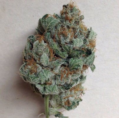 Michigan... Strains, pics, and whatever!