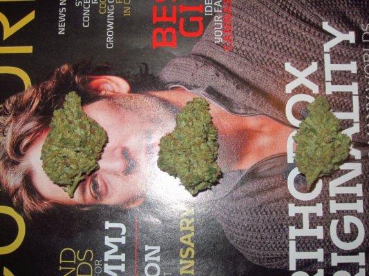 Michigan... Strains, pics, and whatever!