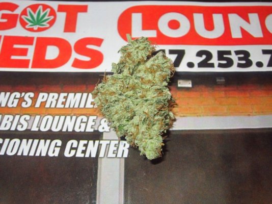 Michigan... Strains, pics, and whatever!