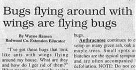 My Fave News Article Headlines.....proof Journalism Is Really Just A Comedy Career.....
