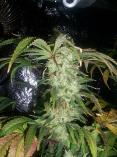 gettin close 009.JPG