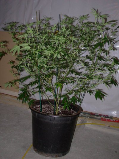 DSCN2719.JPG