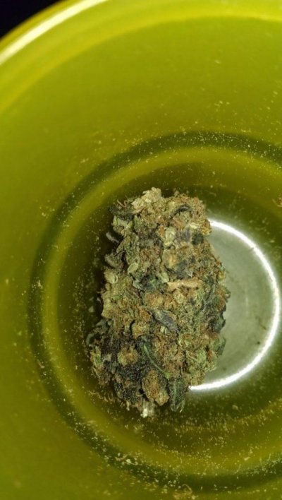 Simple Little Grow
