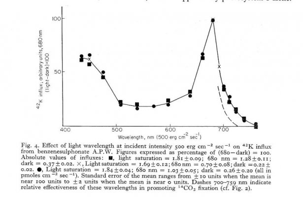 CO2 fixation vs spectrum fig 2