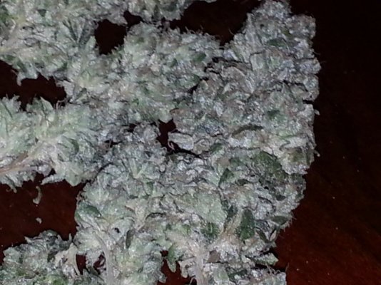growin-with-bb-17.jpg