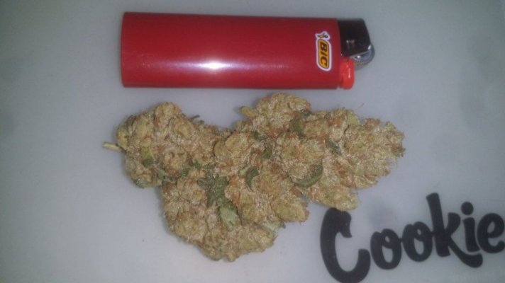 Triangle Kush