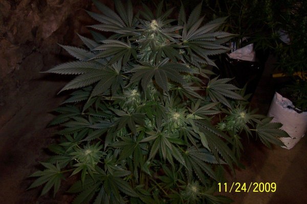 100_2709.jpg