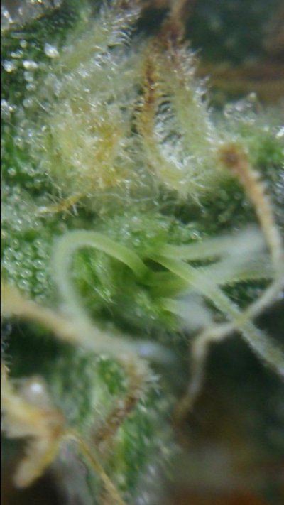20150228_202527.jpg