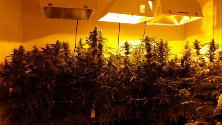I Want To See A Grow Before I Help Anyone