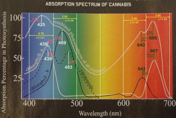 Led Flowering Spectrum.