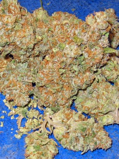 OKush.jpg