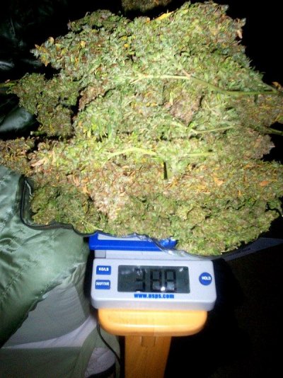 GH Waterfarm Grow-BIG BANG
