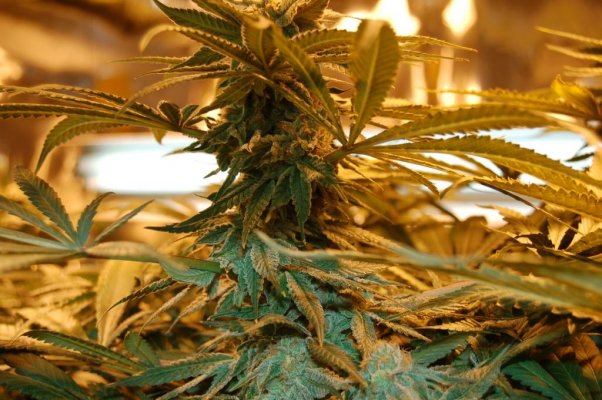 12-15 014.JPG