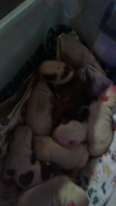 20150205_203319.jpg