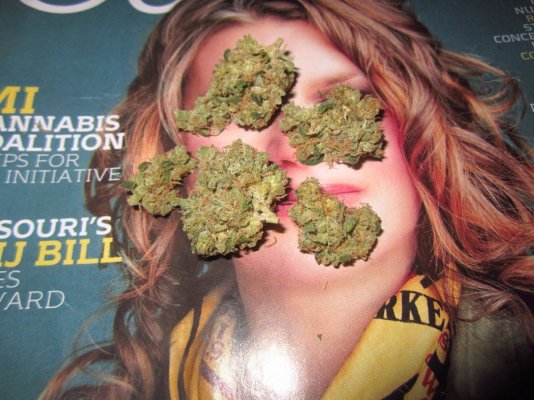Michigan... Strains, pics, and whatever!
