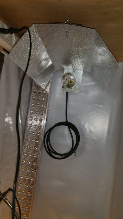 Perpetual grow closet v1 7