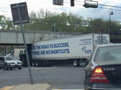 Funny Pictures