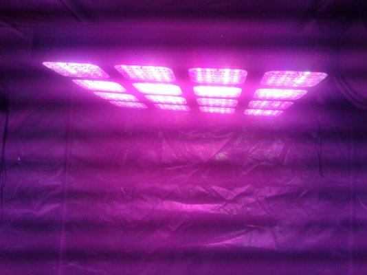 20150520_162835.jpg