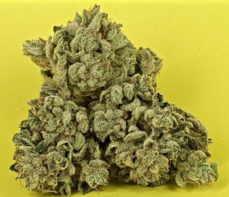 veg+bloom, 1 part powder in socal tap